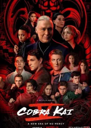 Kobra Kay / Cobra Kai Netflix сериал