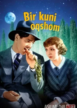 Bir kuni oqshom / Bir kecha bo'lgan voqea / Bir kuni o'rmonda смотреть онлайн бесплатно