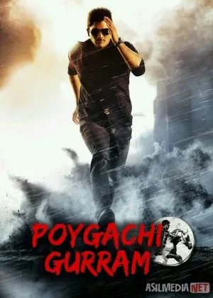 Poygachi Gurram / Shamoldan o‘zib Hind смотреть онлайн