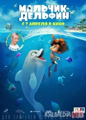 Delfin bola смотреть онлайн