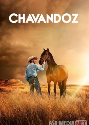 Chavandoz / Otliq смотреть онлайн
